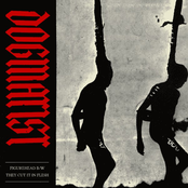 Figurehead / They Cut It In Flesh