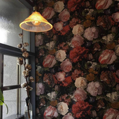 you light an incense as i watch the world through your window