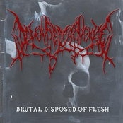 Brutal Disposed of Flesh