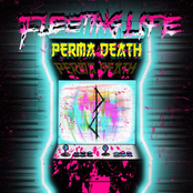 Perma Death