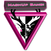 Mashupbambi