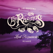 In the Shadows (Lost Frequencies Remake)