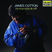 Woman Wanted by James Cotton