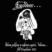 Arbores pulchras et aetherem aspicio, Volentes...