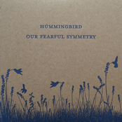 Our Fearful Symmetry