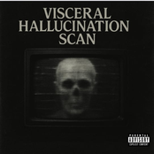 Visceral Hallucination Scan