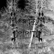 Shadows in the Mist