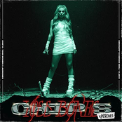 Chip S (Metal Version)