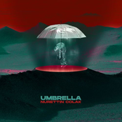 Umbrella
