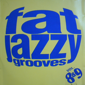 Fat Jazzy Grooves, Volumes 8 & 9