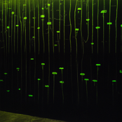 Parasitic Mechanisms