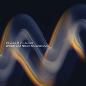 Wildlife and Nature Soundscapes