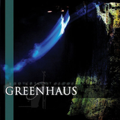 Too Many Fears by Greenhaus