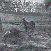 Where Did We Put That Dead Horse We've Been Beating?