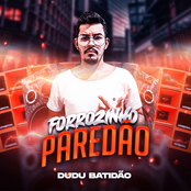Forrozinho Paredão (Remix)