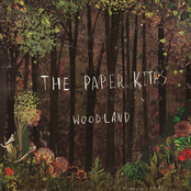 The Paper Kites: Woodland