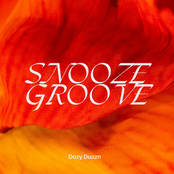 Snooze Groove