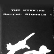 Secret Signals 1