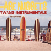 Surf Age Nuggets