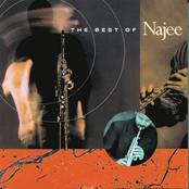 Have You Ever Loved by Najee