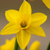 New Age Vaporwave II