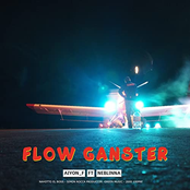 Flow Ganster