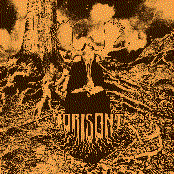 Två Sidor Av Horisonten