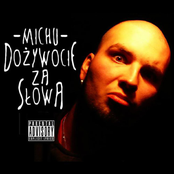 Dożywocie za słowa