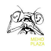 I Sold My Organs by Meho Plaza