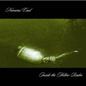 Inside The Hollow Realm