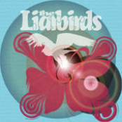 The Liarbirds