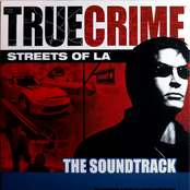 True Crime: Streets of LA