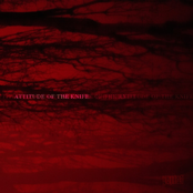 Attitude Of The Knife