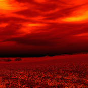 Red Fields (Dimension 40408)