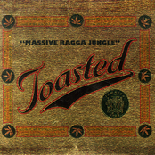 Toasted: Massive Ragga Jungle