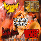 5way gross pathology