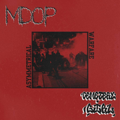 Asymmetrical Warfare - Single