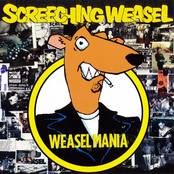 Static by Screeching Weasel