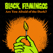 Black Flamingos: Are You Afraid of the Dark?