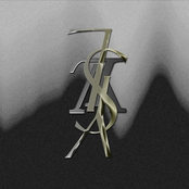 Throw Myself into the Mediafire