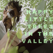 Happy Little Trees in the Valley