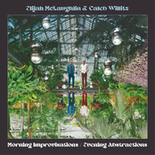 Morning Improvisations / Evening Abstractions