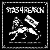 stab 4 reason