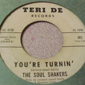 the soul shakers