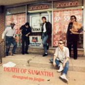 Sexual Dreaming by Death Of Samantha