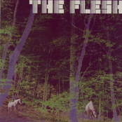 Death Connection by The Flesh