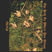 The Path To Where You Belong