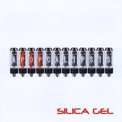 Puzzle by Silica Gel