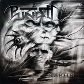 Subnatural Coexistence by Punish