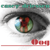 Casey Driessen: Oog